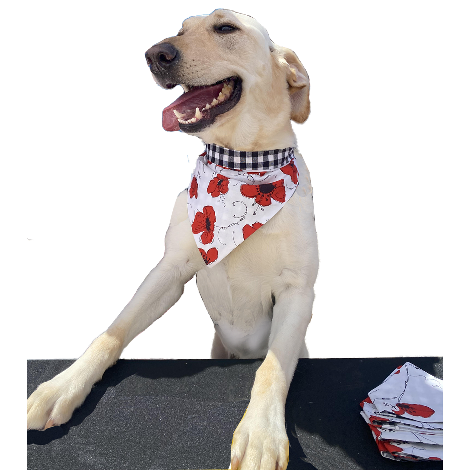 Unique on sale dog bandanas